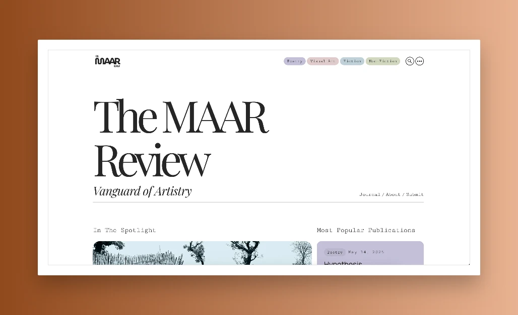 The MAAR Review project screenshot